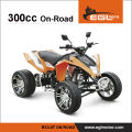 22 kw 300CC ATV street quad